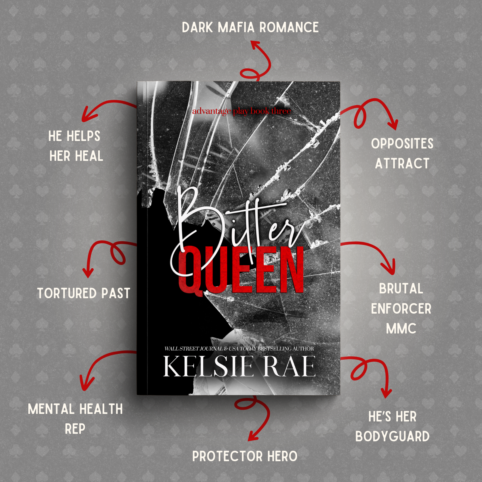 Advantage Play Series eBook Bundle