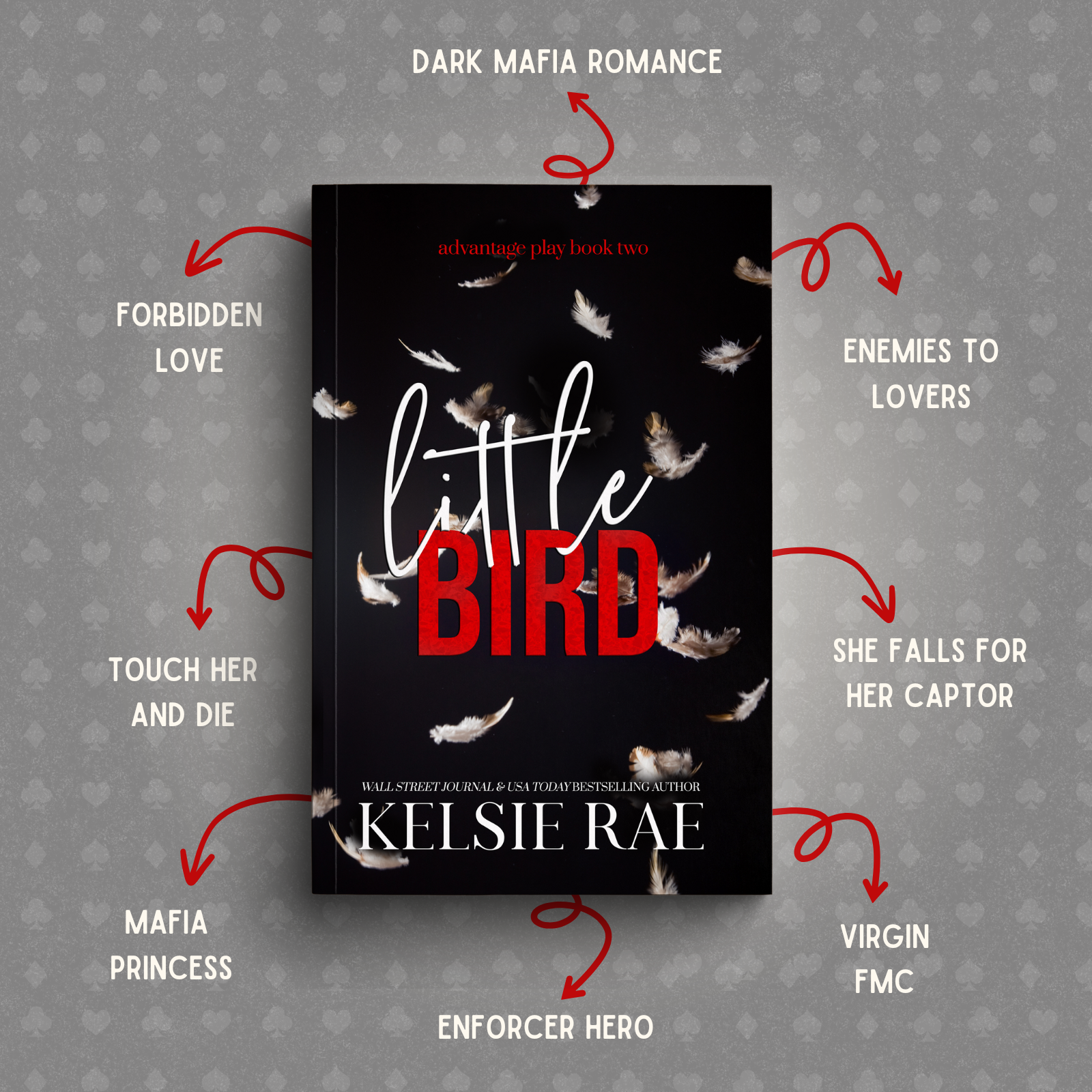 Advantage Play Series eBook Bundle