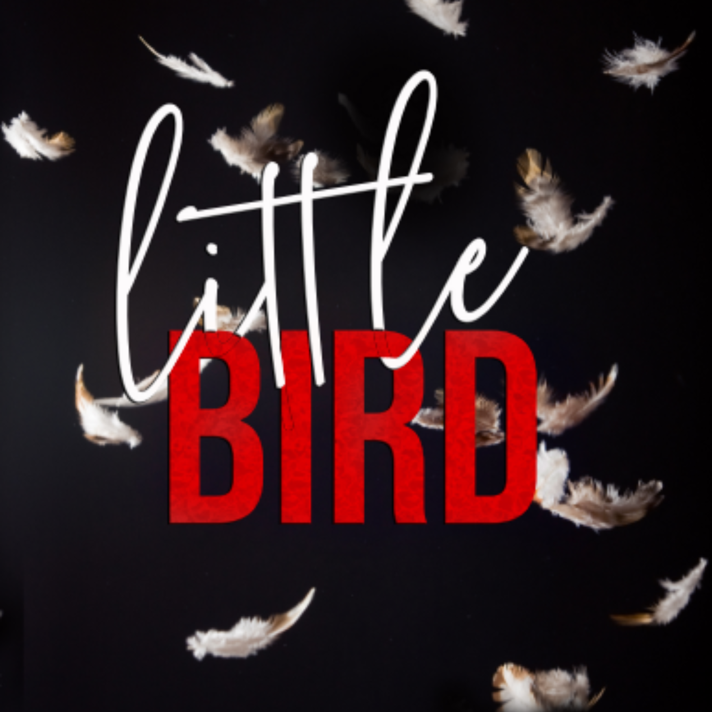 Little Bird